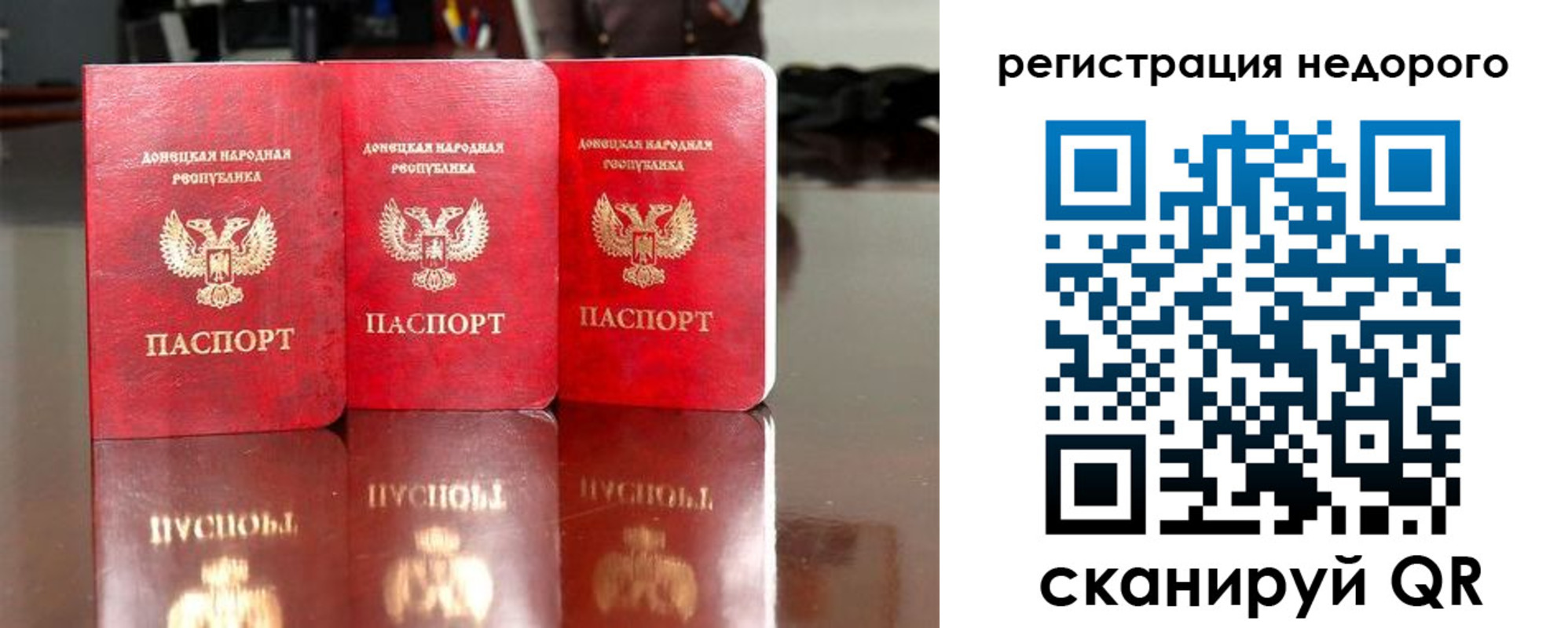 прописка поиск в Сафоново